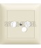 DW54 crema